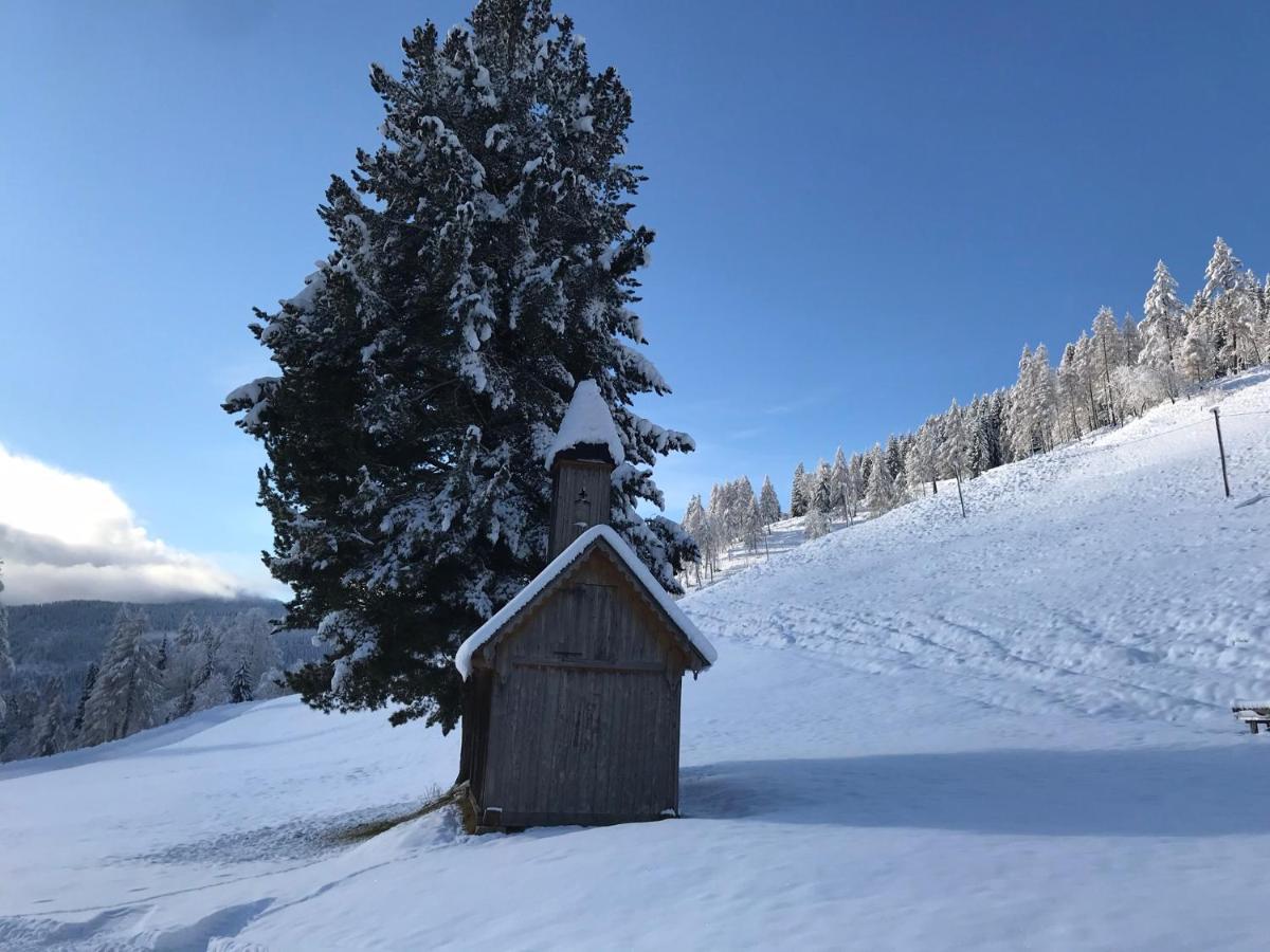 Wohlfuehlpension Kreischberg Inklusive Murau Sommergaestecard Ab 2 Naechte Sankt Georgen ob Murau Exterior photo