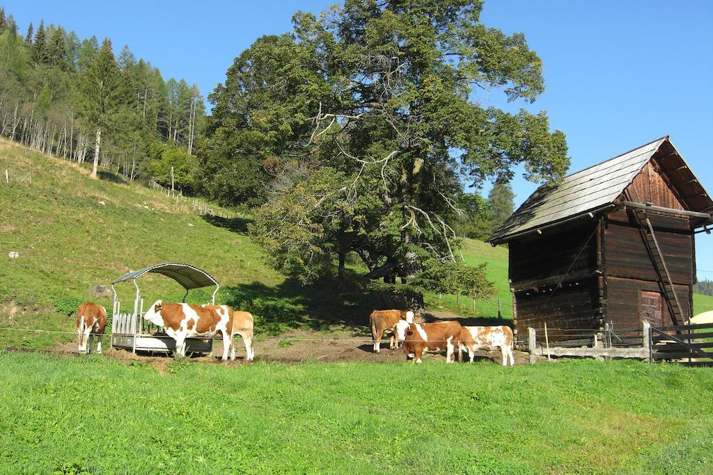 Wohlfuehlpension Kreischberg Inklusive Murau Sommergaestecard Ab 2 Naechte Sankt Georgen ob Murau Exterior photo