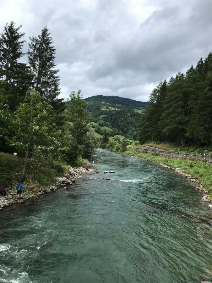 Wohlfuehlpension Kreischberg Inklusive Murau Sommergaestecard Ab 2 Naechte Sankt Georgen ob Murau Exterior photo